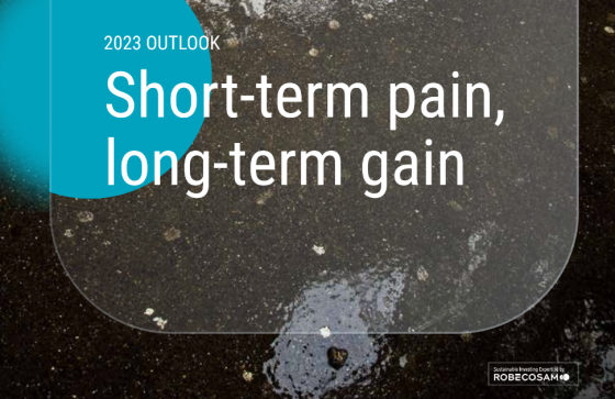 2023 Outlook: Short-term pain, long-term gain 