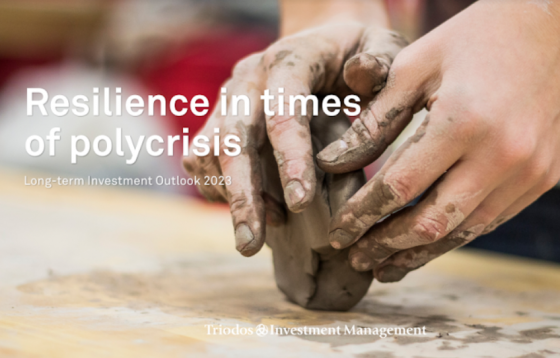 Resilience in times of polycrisis Long-term Investment Outlook 2023 