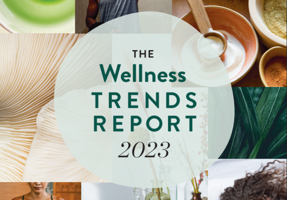 Holland Baret - Wellness Trend Report 2023 