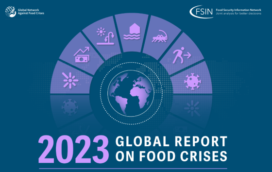 FSIN - Global Report on Food Crises 2023 