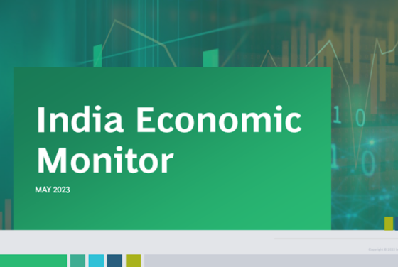 BCG - India Economic Monitor 