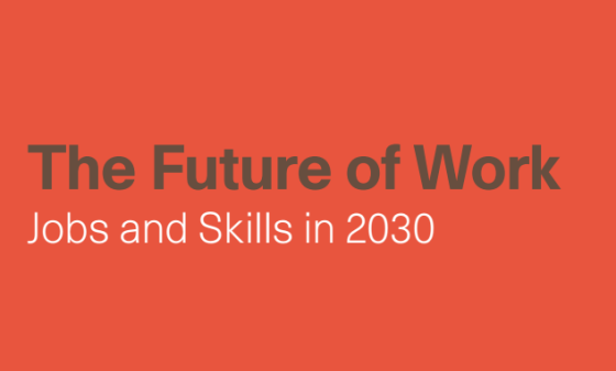 The Future of Work Jobs and Skills in 2030 