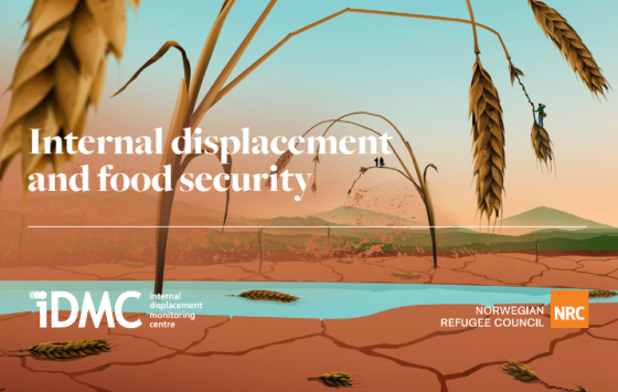 IDMC - GRID 2023 Global Report on Internal Displacement 