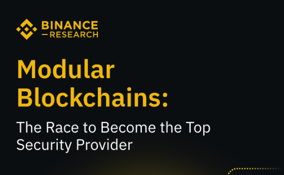 Binance - Modular blockchains 