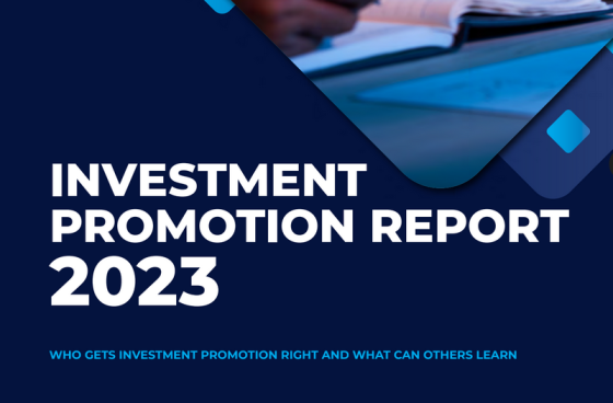 Emerging Europe - Investment Promotion Report, 2023 