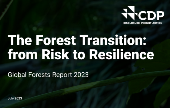 CDP - Global Forest Report, 2023 