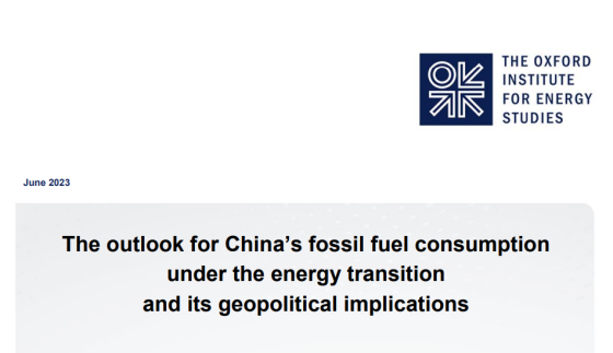 Oxford Energy - China fuel consumption 