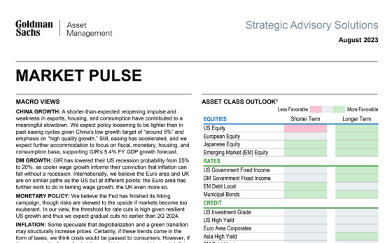 Goldman Sachs - August Market Pulse 