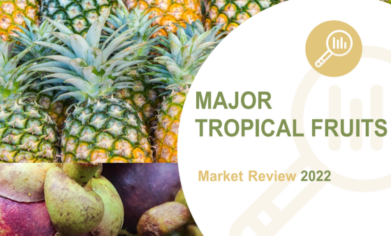 FAO - Major Tropical Fruits, Market Review 2022 