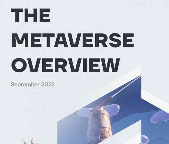 The Metaverse overview 