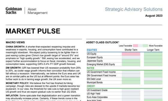 Goldman Sachs - August Market Pulse 