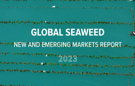 World Bank – Global Seaweed, 2023 