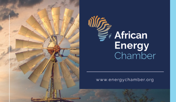 AEC - The State of South African Energy 