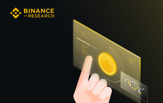 Binance - Emerging Stablecoins Latest Developments 