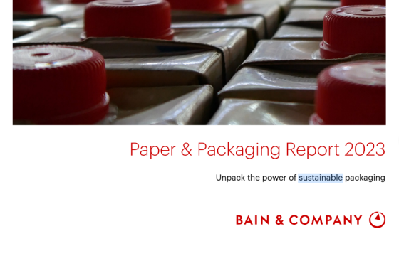 Bain - Paper and Packaging Report, 2023 