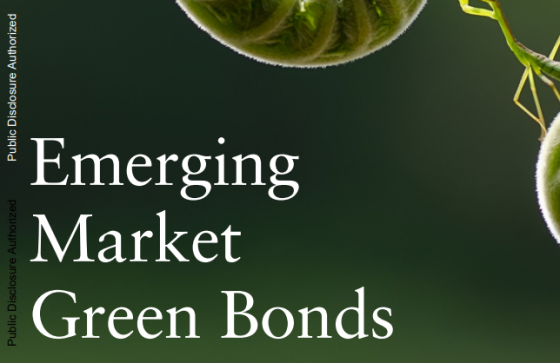 World Bank - Emerging Market Green Bonds, 2023 