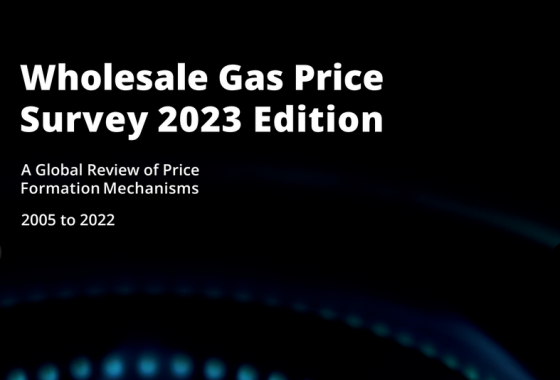 IGU – Wholesale Gas Price Survey, 2023 