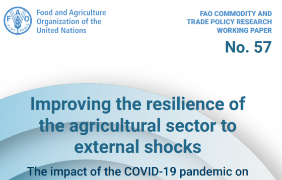Improving the resilience of the agricultural sector to external shocks 