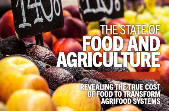 FAO – State of Food & Agriculture, 2023 