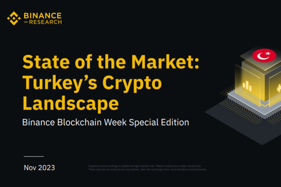 Binance – State of the Market Turkeys Crypto landscape 
