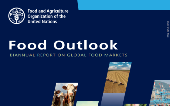 FAO – Food Outlook, Nov 2023 