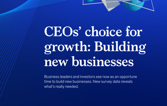 McKinsey – CEOs Choice for Growth, 2023 