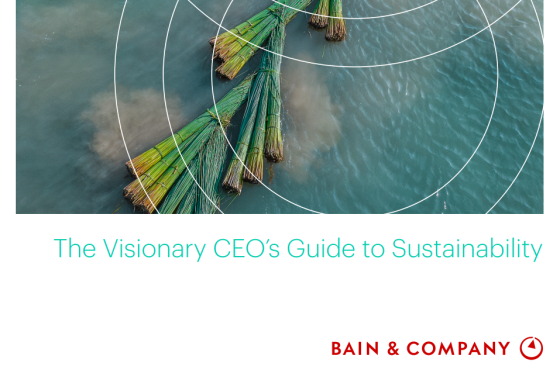 Bain – CEO Guide to Sustainability 