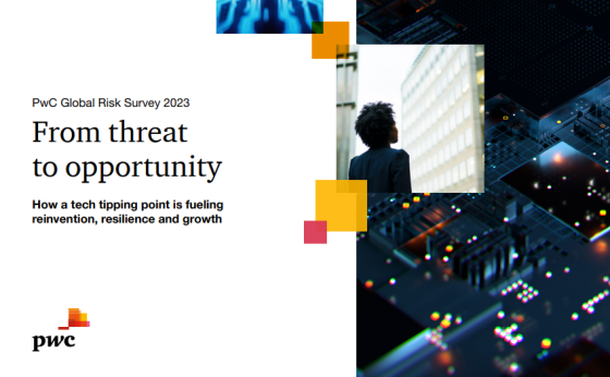 PWC – Global Risk Survey, 2023 