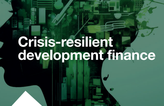 United Nations – Crisis-resilient development finance 