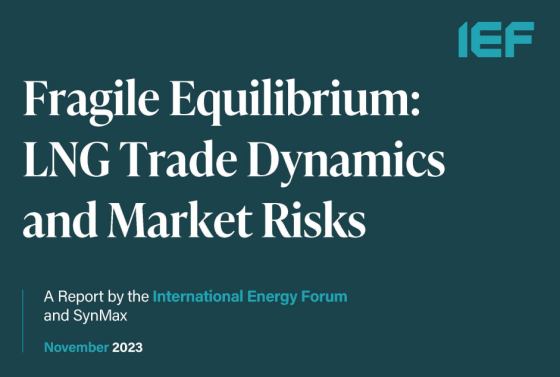 IEF – LNG Trade Dynamics and Market Risks, Nov 2023 