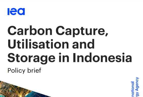 IEA – Carbon Capture, Utilisation and Storage in Indonesia 