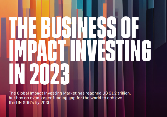 Lucidity – Business of Impact Investing, 2023 