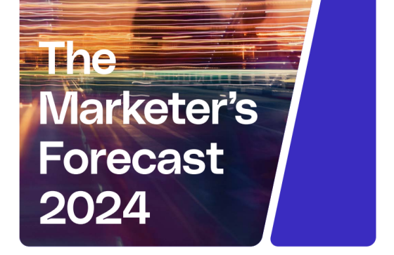 Medialink – Marketer's Forecast, 2024 