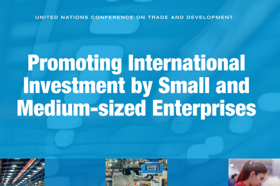 United Nations – Promoting International Investment by SMB 