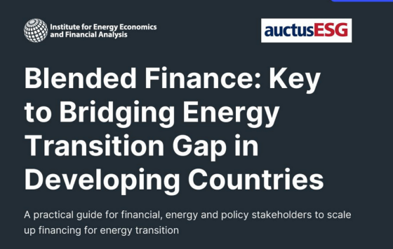 IEEFA – Blended Finance: Key to Bridging Energy Gap in Developing 