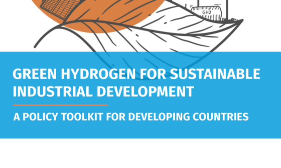 IRENA – Green hydrogen industrial development, 2024 