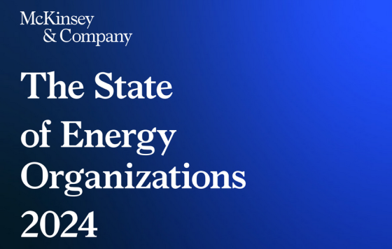 McKinsey – The State of Energy Organizations, 2024 