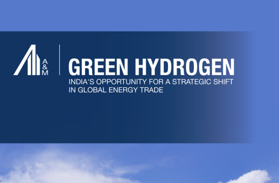 Alvarez & Marsal – Green Hydrogen Report, Feb 2024 