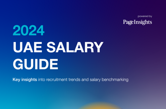 PageInsights – UAE Salary Guide, 2024 