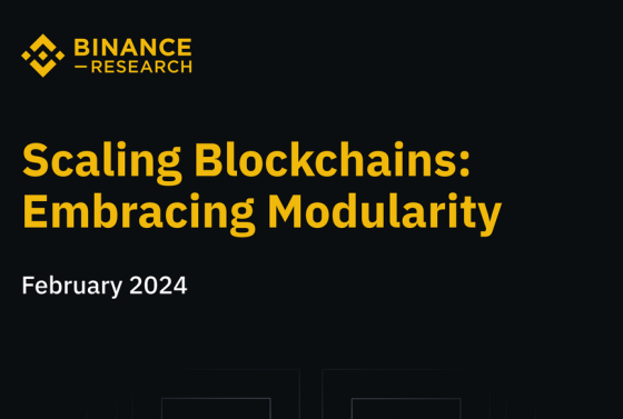 Binance – Scaling Blockchains Embracing Modularity 