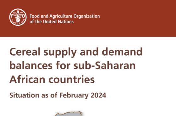 FAO – African Countries Cereal Market, Feb 2024 