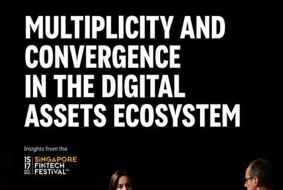 Oliver Wyman – Multiplicity and Convergence Digital Assets 
