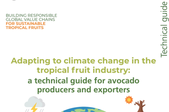 FAO – Climate Change in the Tropical Fruit Industry 