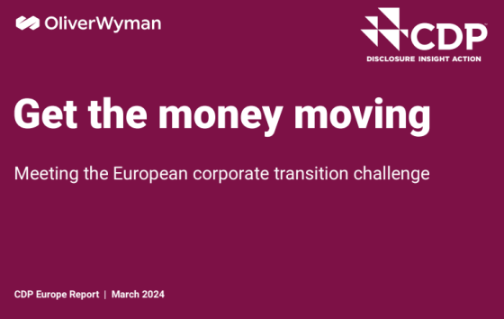 OliverWyman – European Corporate Transition 