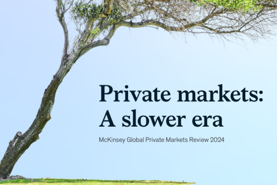 McKinsey – Global Private Markets Review, 2024 