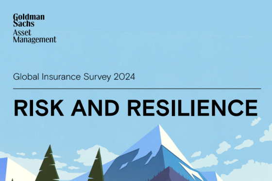 Goldman Sachs – Global Insurance Survey, 2024 