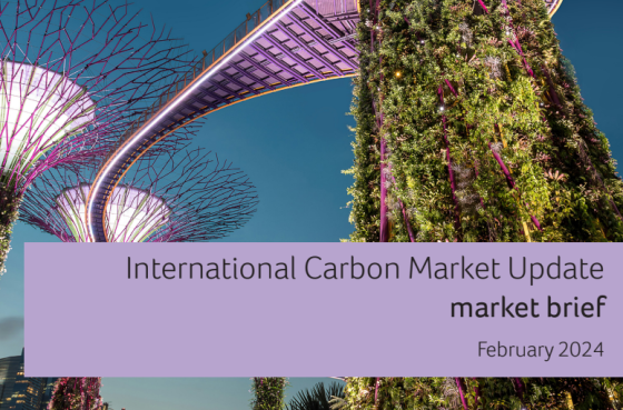 CMI – International Carbon Market Update, 2024 