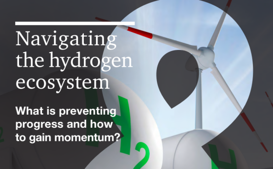 Strategy& – Hydrogen Ecosystem, 2024 