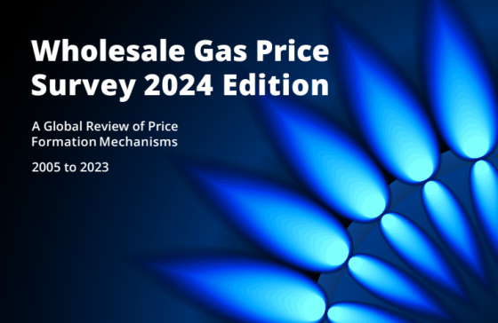 IGU – Wholesale Gas Price Survey, 2024 