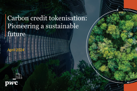 PWC – Carbon Credit Tokenisation 